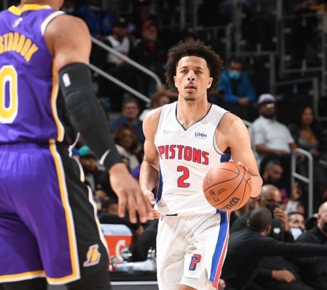 薪资结构的 薪资结构的